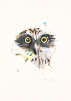 Powerful Owl © Kareena Zerefos